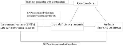 Causal relationship between iron deficiency anemia and asthma: a Mendelian randomization study